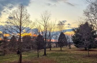 The Little Issues E-newsletter #458 – Life, laughter, and plenty of nice meals!