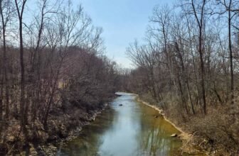 The Little Issues E-newsletter #460 – Life, laughter, and many nice meals!