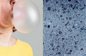 Chewing Gum Releases 1000’s of Microplastics Into Our Saliva, Researchers Discover