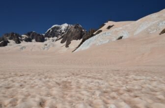 Why Snow in New Zealand’s Alps Turned an Alarming Shade of Pink