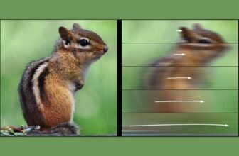 How Quick Is Too Quick to See? Examine Reveals Your Visible Velocity Restrict