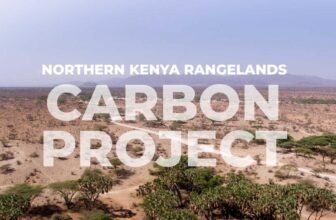 One of many tech business’s sources of carbon credit is in battle with Kenyan herders