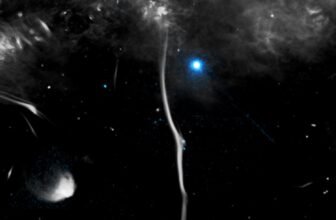 Rogue Pulsar Snaps Galactic Bone in Milky Manner’s Backbone