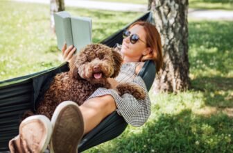 The right way to Make Relaxation Really feel Productive (So You Really Do It)