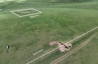 Archaeological Dig Sheds New Gentle on the Different Nice Wall of China
