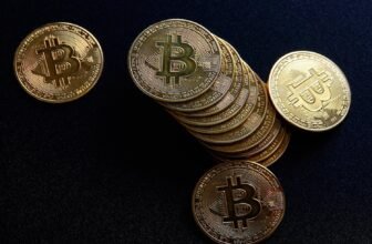 Crypto Bros Are Profitable Huge in Trump’s America