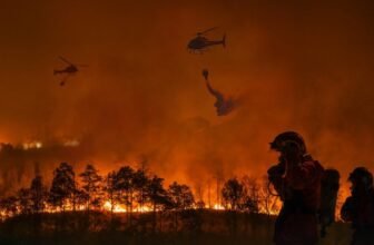 Alarming Circumstances and Federal Chaos May Spell a Disastrous California Fireplace Season