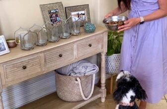 Wholesome selfmade pet food recipe